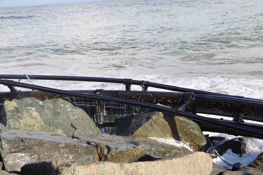 Rize'de Fırtına balıkçı kafeslerine zarar verdi