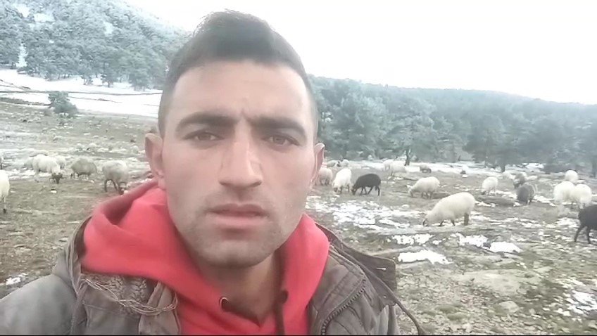 Tokat'ta Kar Yağışına Yaylada Yakalandı, Koyunlarına Türkü Söyleyerek Duygusal Anlar Yaşattı