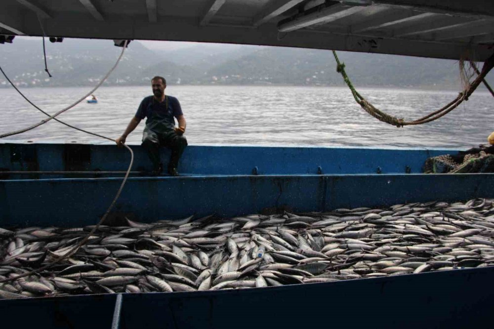 Balıkçılar hamsiden gelecek iyi haberi bekliyor