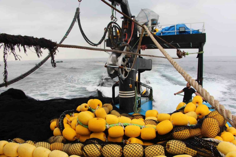 Balıkçılar hamsiden gelecek iyi haberi bekliyor
