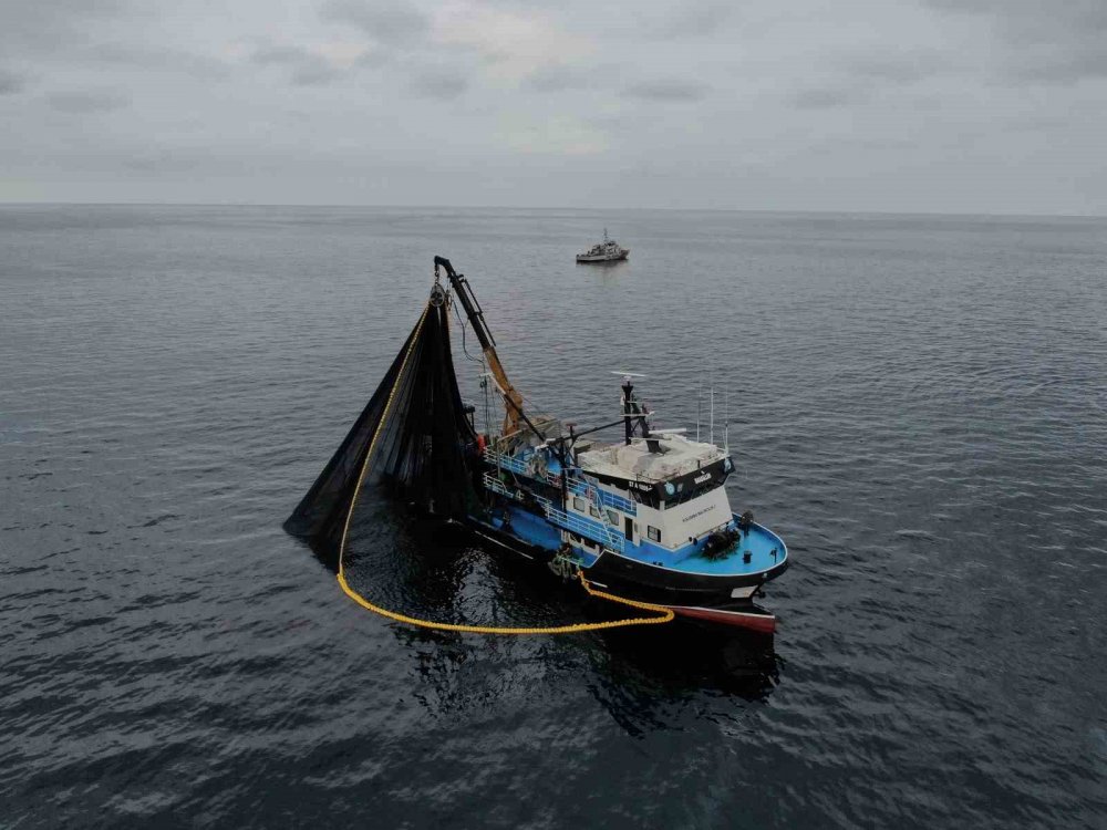 Balıkçılar hamsiden gelecek iyi haberi bekliyor
