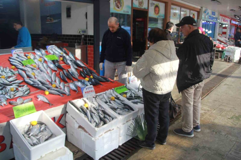 Karadeniz'de palamut fiyatları uçtu