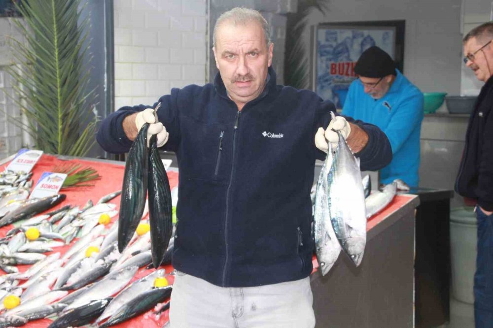 Karadeniz'de palamut fiyatları uçtu