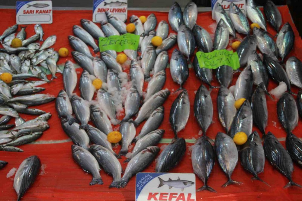 Karadeniz'de palamut fiyatları uçtu