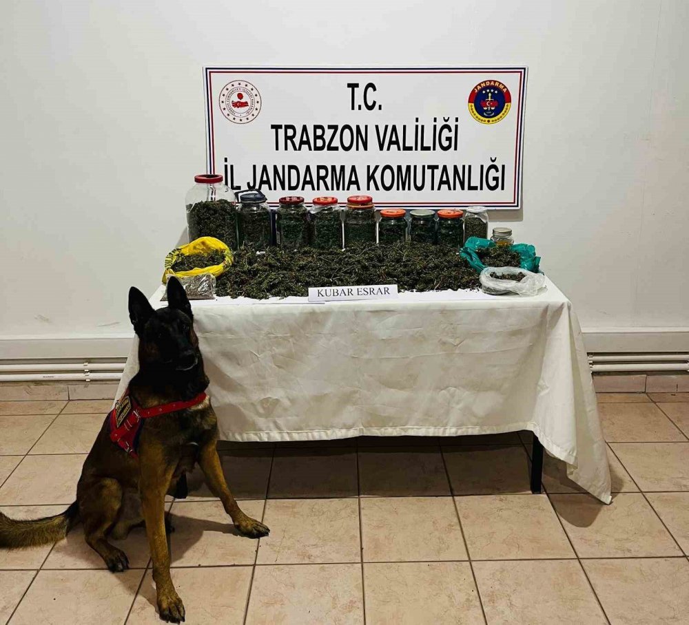 Trabzonlu esrar satıcısı esrarları kavanoz içinde buzdolabında saklamış