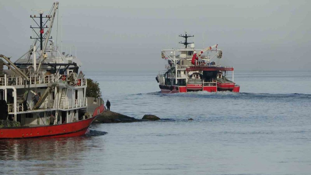 Karadeniz'de Hamsiyi Denizde Göremeyen Balıkçı Kaygılanıyor