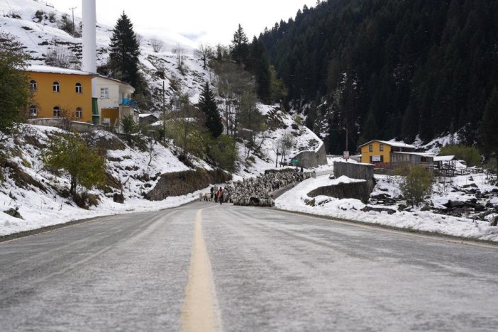 rize-kart.jpg