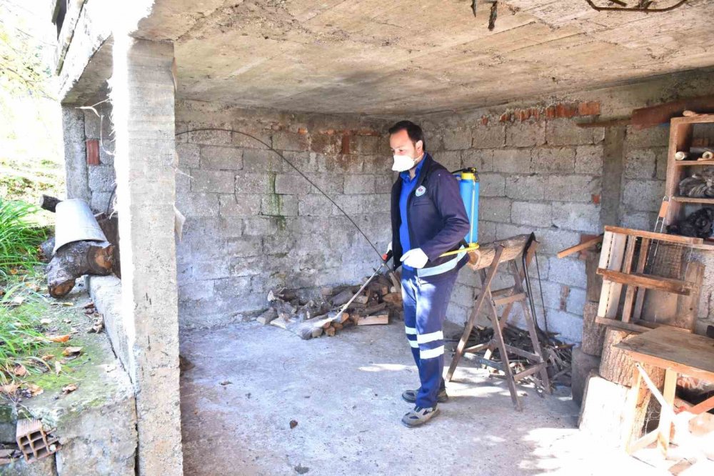 Trabzon’da Kokarcaya Geçit Yok: “2 Bin 60 Noktada, 108 Bin 800 Metrekare Alanda İlaçlama”