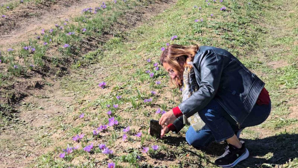 Cumhuriyet Bayramı Tatili Safranbolu’ya Yaradı