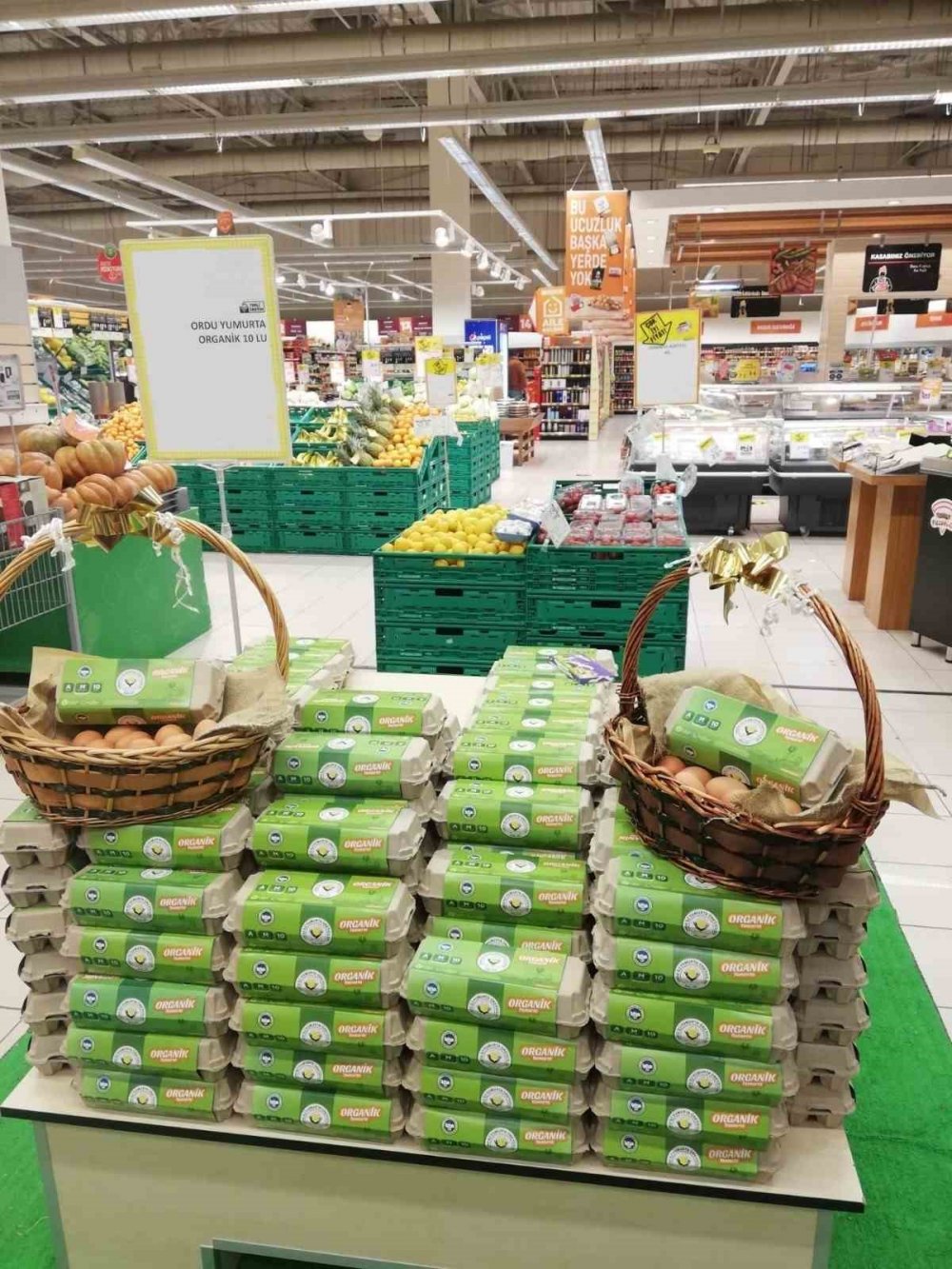 Ordu’da Yumurta Sektörü Ayağa Kalktı, yılda 45 milyon üretiliyor