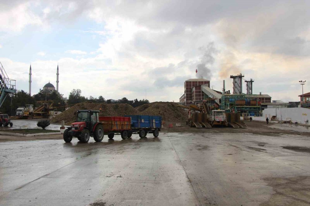 Amasya Şeker Fabrikası 80 Bin Ton Kristal Şeker Üretecek: "çayınız Karadeniz’den, Şekeriniz Amasya’dan Olsun"
