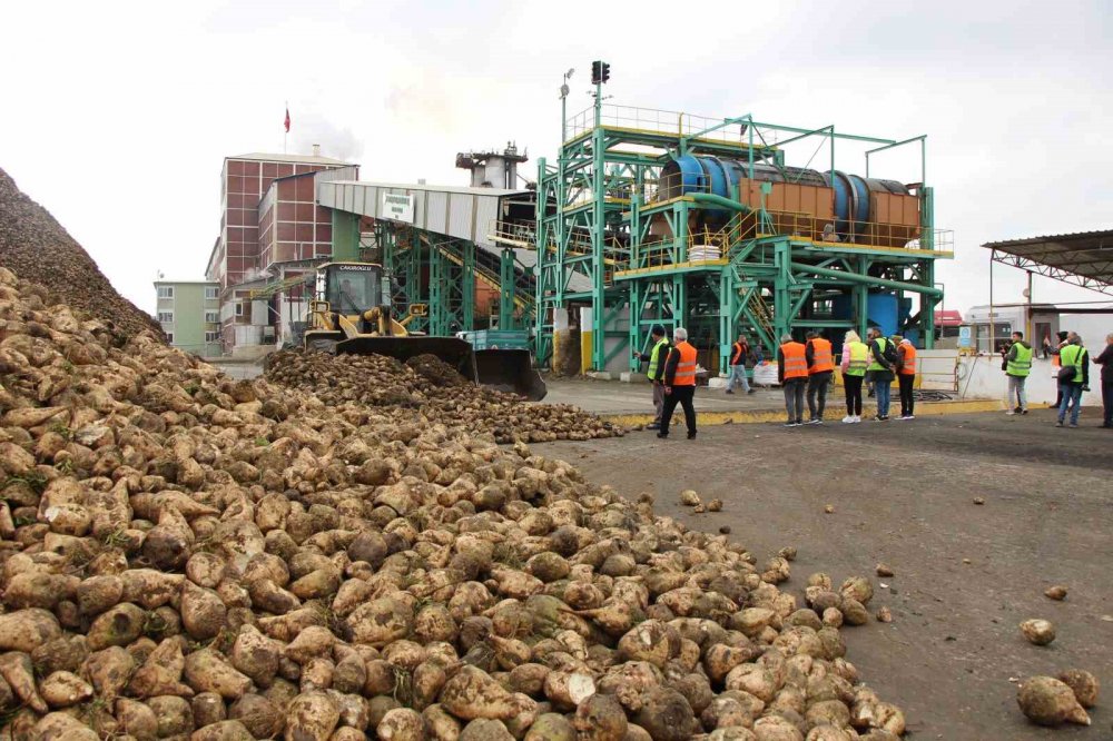 Amasya Şeker Fabrikası 80 Bin Ton Kristal Şeker Üretecek: "çayınız Karadeniz’den, Şekeriniz Amasya’dan Olsun"
