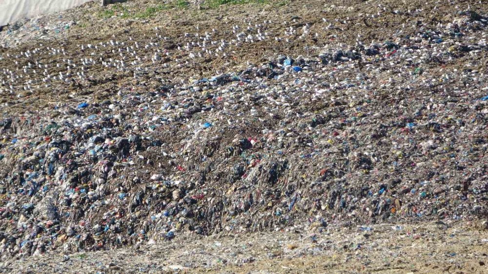 Araklı'da bulunan halk eylem yaptı