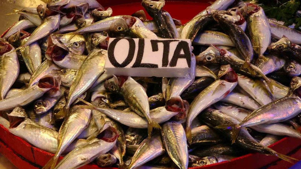 Karadeniz'de Hamsi 175 tl ile 200 tl arası satılıyor