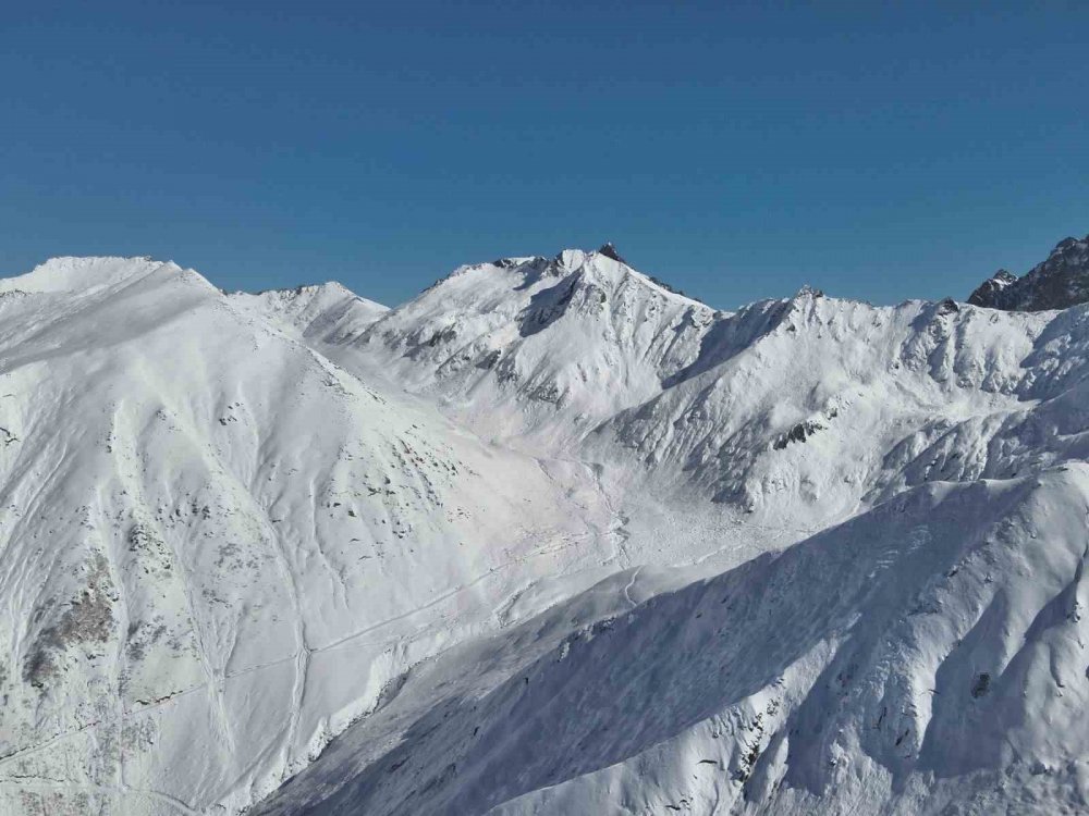 Rize Ardeşen'de 20 gündür kaçak sürü hala aranıyor