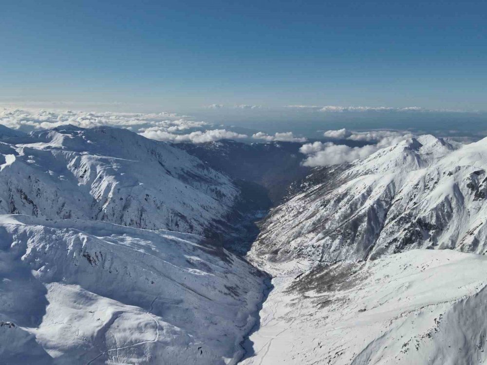 Rize Ardeşen'de 20 gündür kaçak sürü hala aranıyor