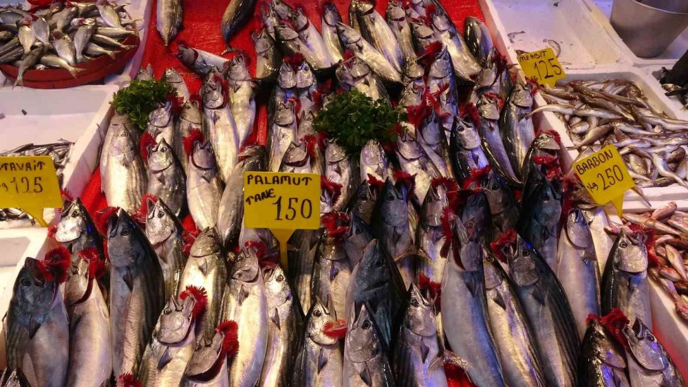 Palamut Ve Hamsi Arasındaki İhracat Rakamları Şaşırttı