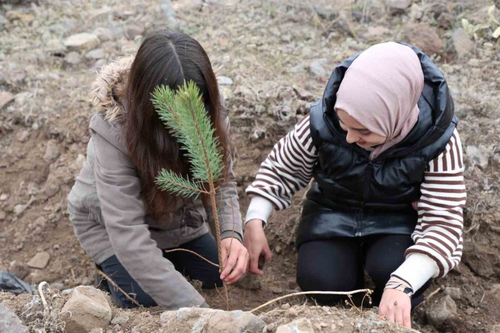 Erzurum dahil 6 İlde 56 Bin 500 Fidan Toprakla Buluştu