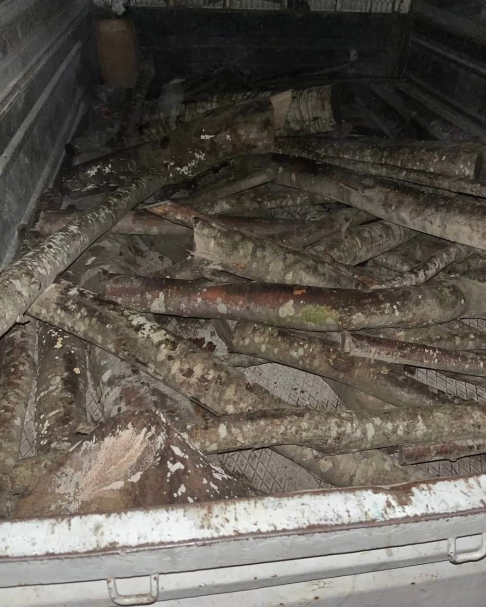 Kamyonetle Odun Çalmaya Çalışan Şahıs Yakayı Ele Verdi