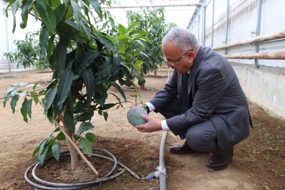 Kendi Kendine Yeten Ordu: 3,5 Milyon Fide Üreticiyle Buluştu