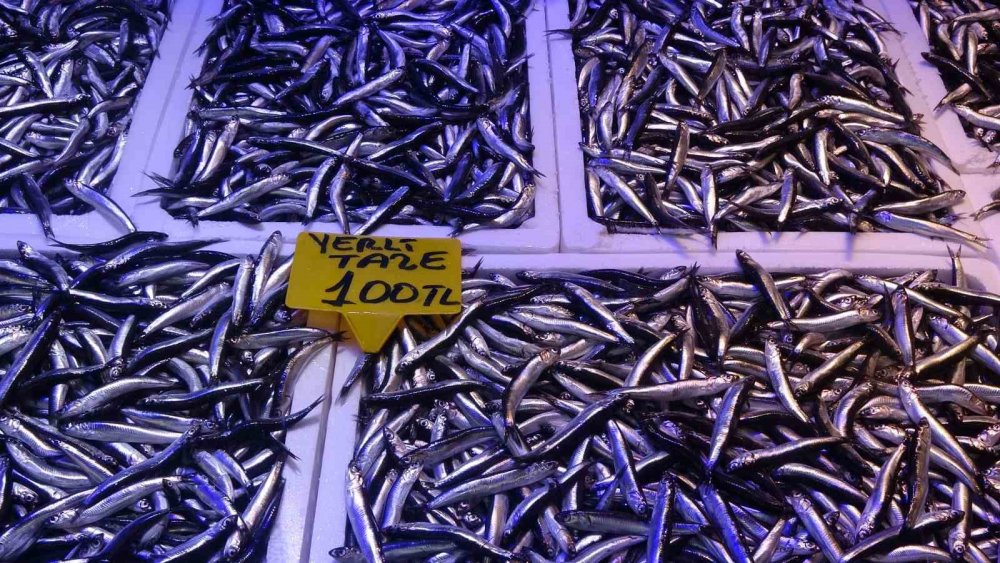 Son Yıllarda İkisi Bir Arada Hiç Bu Kadar Bol Görünmemişti