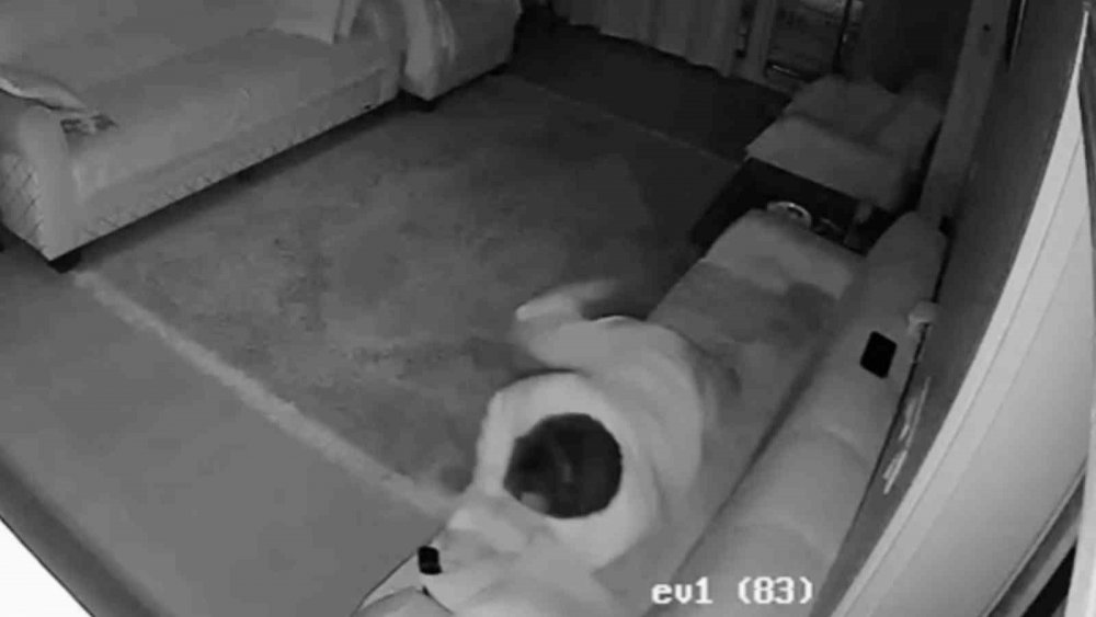 1 Kişinin Hayatını kaybettiği Çayeli ilçesinde heyelan anı kamerada