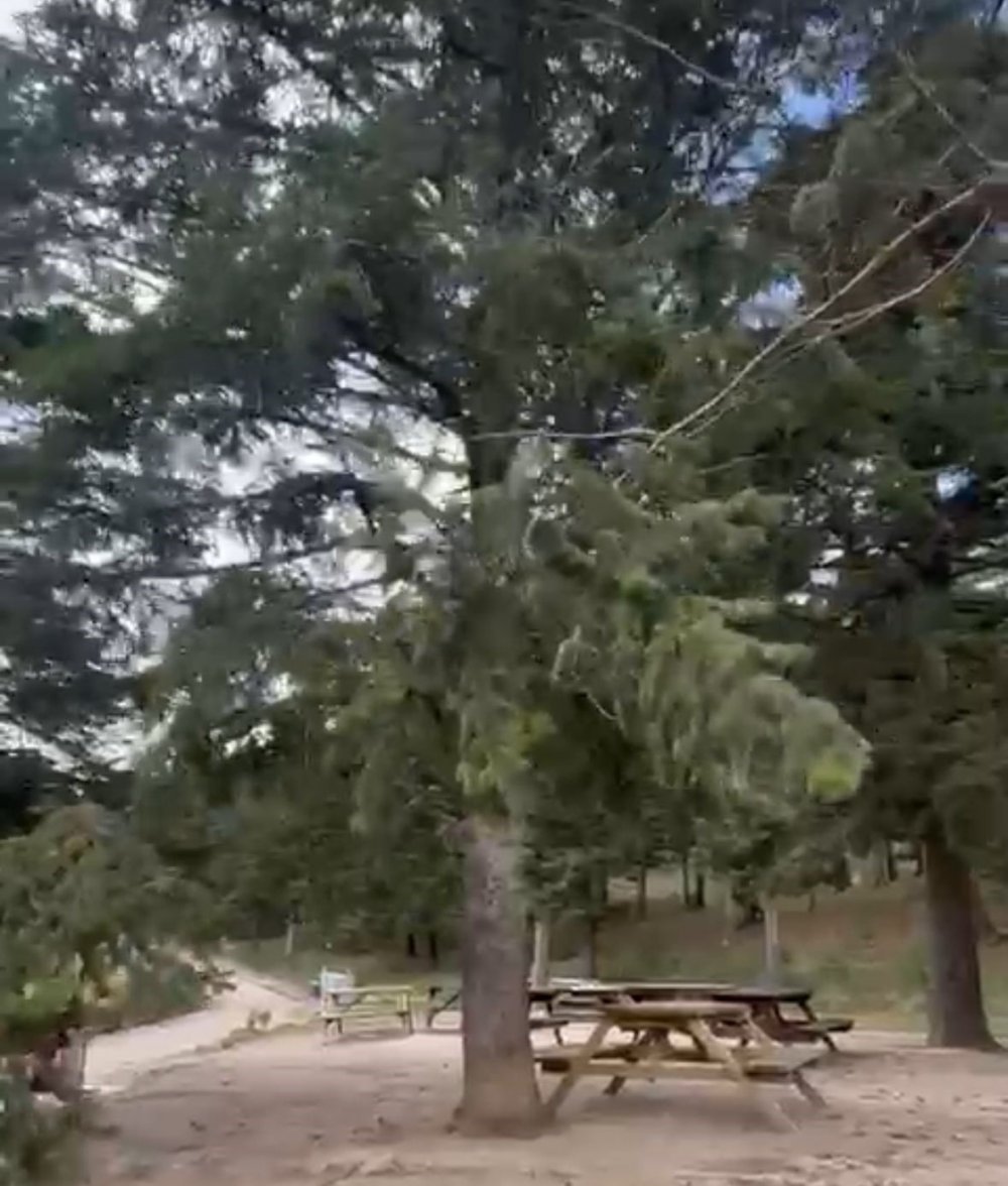 Bolu’da Kuvvetli Rüzgar Etkili Oluyor