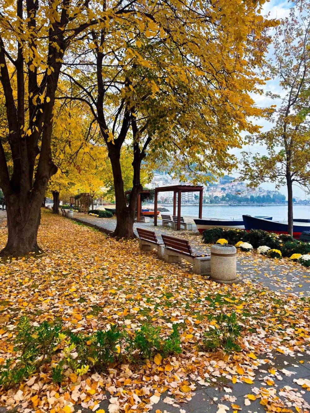 Ordu’da Sonbaharda Renk Cümbüşü