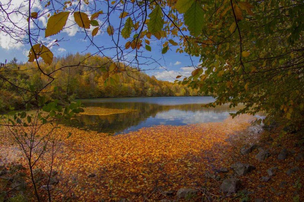 Ordu’da Sonbaharda Renk Cümbüşü