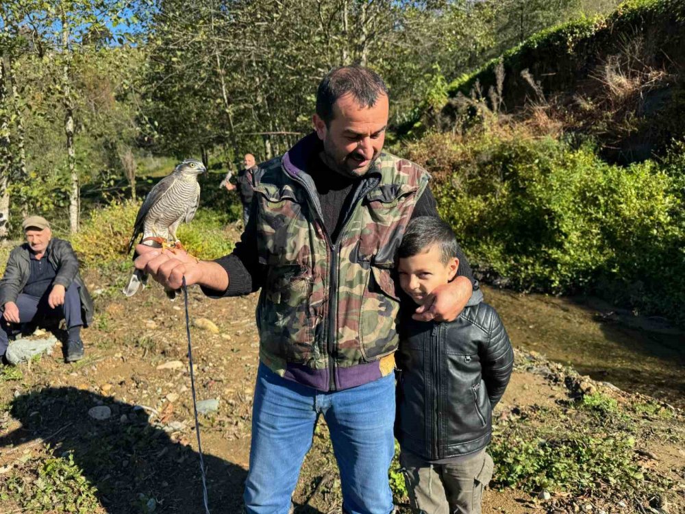 Rize'de Atmacalar bıldırcın avı için yarıştılar