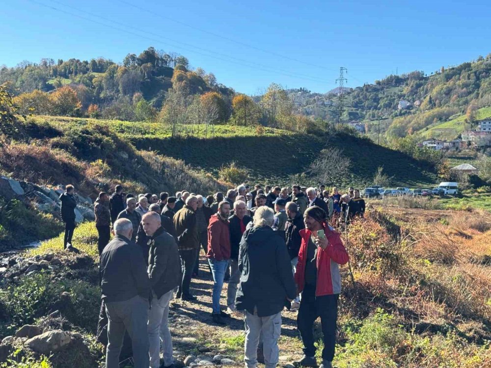 Rize'de Atmacalar bıldırcın avı için yarıştılar