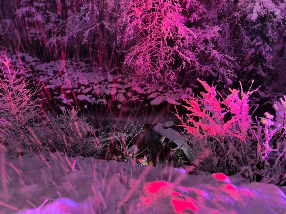 Rize'de Karda Kayarak Dereye Uçan Kamyonette 3 Kişi Yaralandı