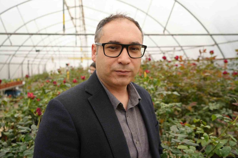 Hamsi Atıklarıyla Samsun'da Gül Yetiştirildi: Hamsi Gülü