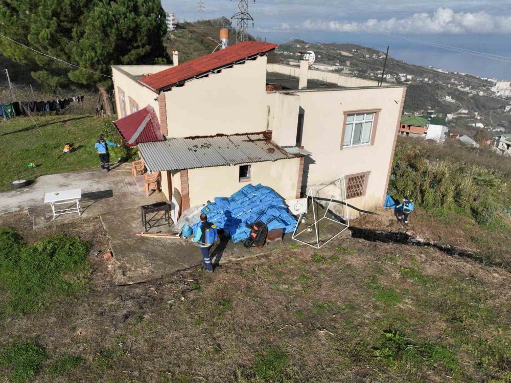 Trabzon’da Kokarcayla Mücadelede 1 Milyon 312 Bin Metrekarelik Alan İlaçlandı