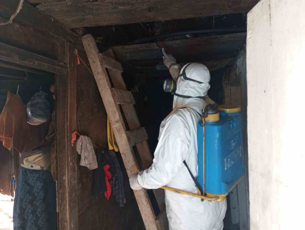 Trabzon’da Kokarcayla Mücadelede 1 Milyon 312 Bin Metrekarelik Alan İlaçlandı