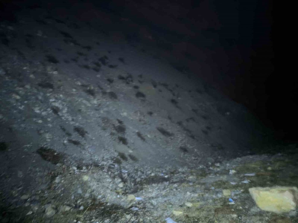 Erzurum-artvin Karayolunda Heyelan