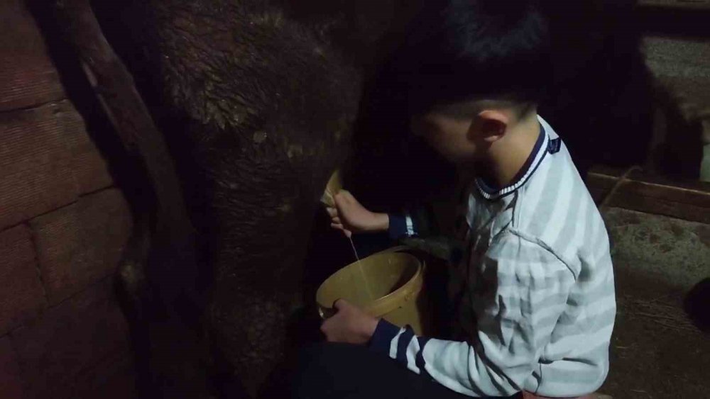 Rizeli Umut Ailesine umut oldu