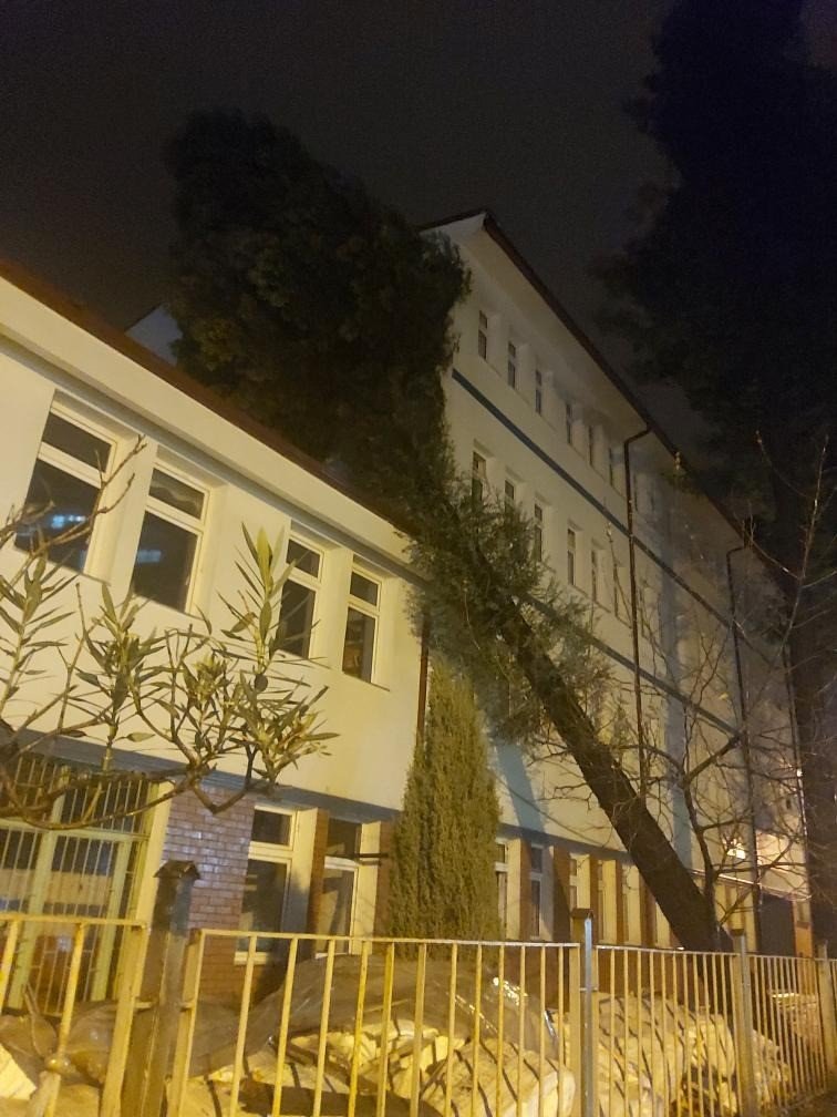 Artvin’de Etkili Olan Fırtına Nedeniyle Bir Ağaç Okulun Üzerine Devrildi