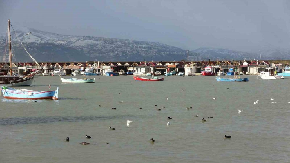 Karadeniz'de Fırtına çıktı balık fiyatları arttı