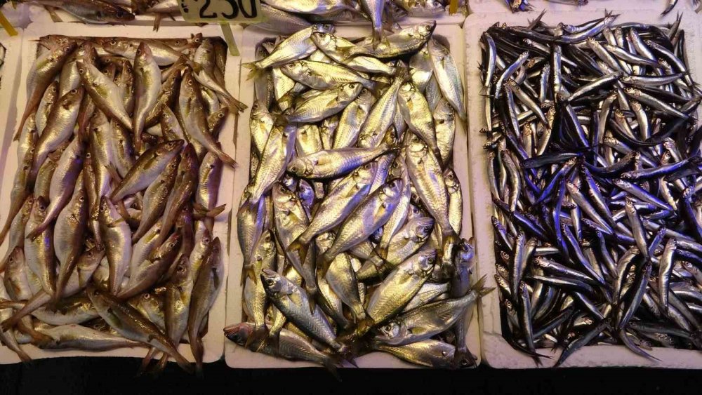 Karadeniz'de Fırtına çıktı balık fiyatları arttı