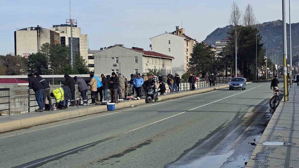 Artvin’de Fırtına Somon Kafesini Parçaladı, Vatandaşlar Dereye Akın Etti