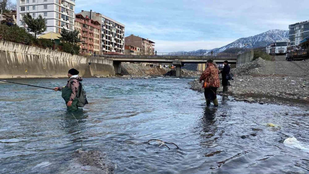 Artvin’de Fırtına Somon Kafesini Parçaladı, Vatandaşlar Dereye Akın Etti