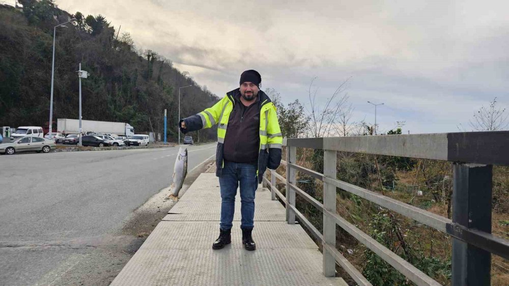 Artvin’de Fırtına Somon Kafesini Parçaladı, Vatandaşlar Dereye Akın Etti