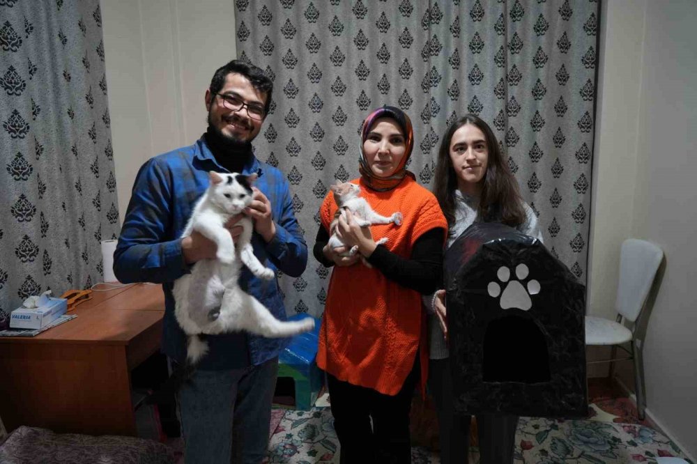 Gümüşhane’de Öğrenciler Engelli Kediler İçin Kedi Evi Yaptı