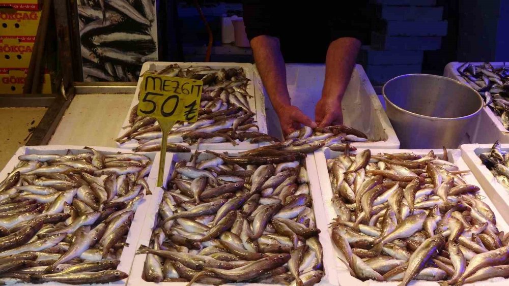 Karadeniz’de Mezgit Bereketi yaşanıyor , kilosu 50 tl'ye satılıyor