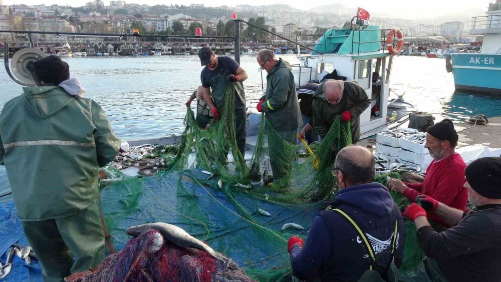 Palamut, Hamsi, İstavrit Ve Mezgitin Ardından Bu Kez De Kefal Bereketi Yaşanıyor