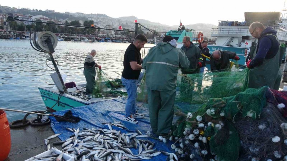 Palamut, Hamsi, İstavrit Ve Mezgitin Ardından Bu Kez De Kefal Bereketi Yaşanıyor