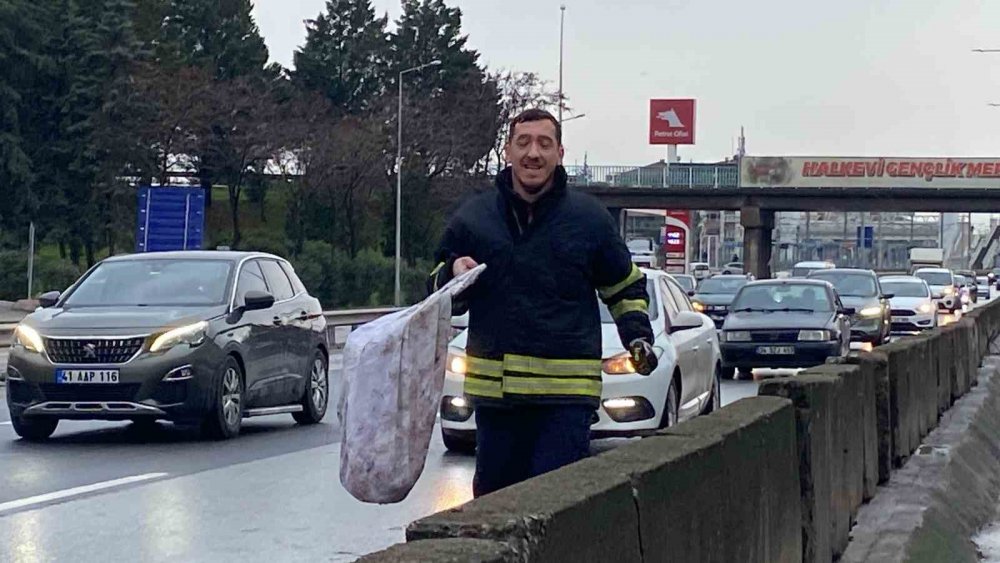 Motora Saklanan Kedi 13 Kilometre Yol Gitti