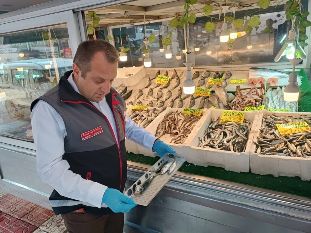 Kastamonu’da Su Ürünleri Denetimlerinde 14 Kişiye Toplam 244 Bin Lira Ceza Uygulandı