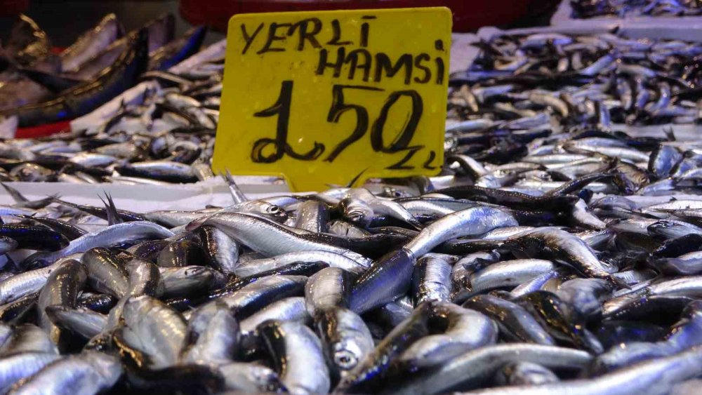 Hamsi Avında Düşüş Başlayınca Fiyatlarda Artış Yaşandı